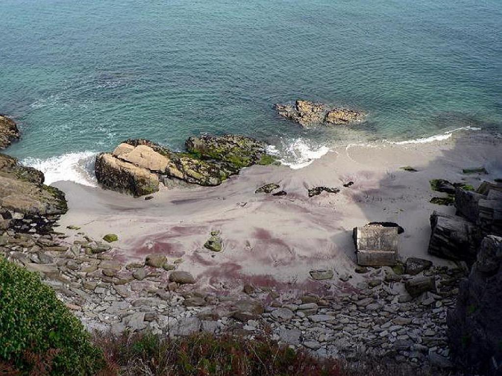 156 ILE DE GROIX_000032.jpg
